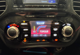 Подержанный автомобиль Nissan Juke 2011 года (11 фото)