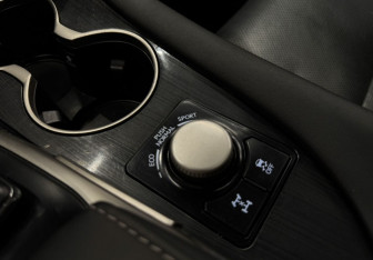 Подержанный автомобиль Lexus RX 2018 года (14 фото)